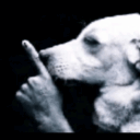 bark n fart on death