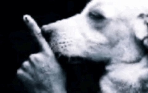 bark n fart on death