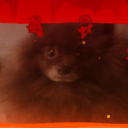 Chocolate, The Beast