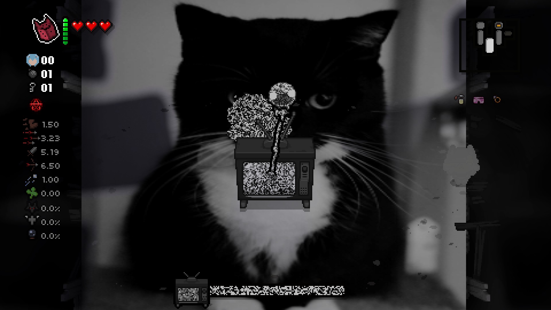 cat as dogma background — screenshot 1