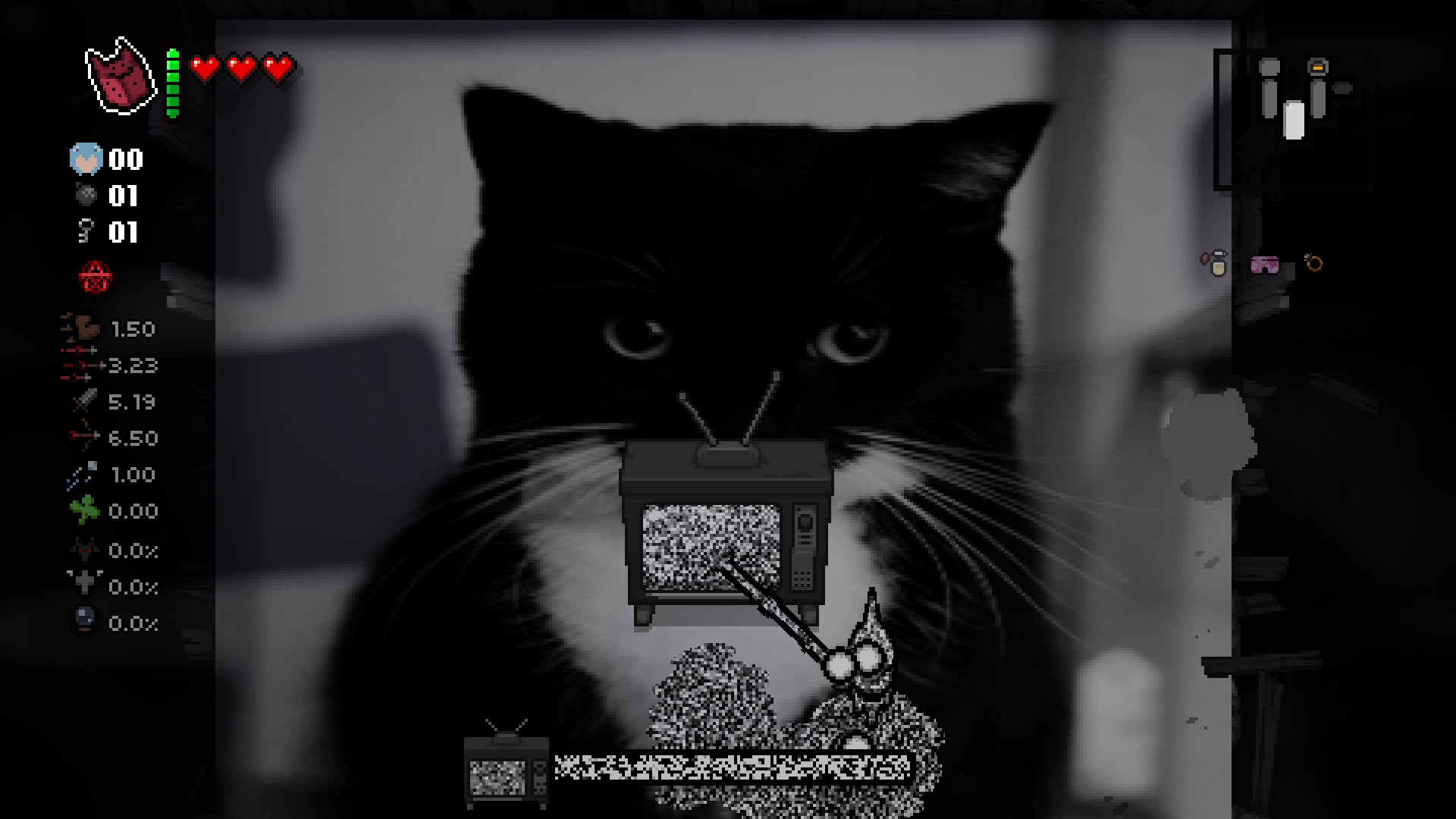 cat as dogma background — screenshot 2