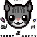 Tabby Guppy!