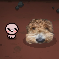 monstro but it’s my dog kenny