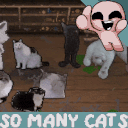 SO_MANY_CATS