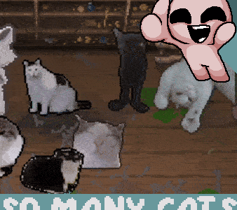 SO_MANY_CATS