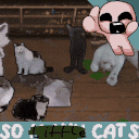 SO_LITTLE_CATS