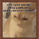 Cat Screaming Into Camera Hurt and Death Sounds