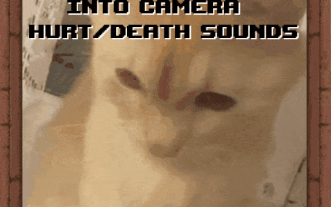 Cat Screaming Into Camera Hurt and Death Sounds