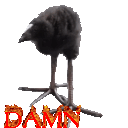 Damn bird for dead bird