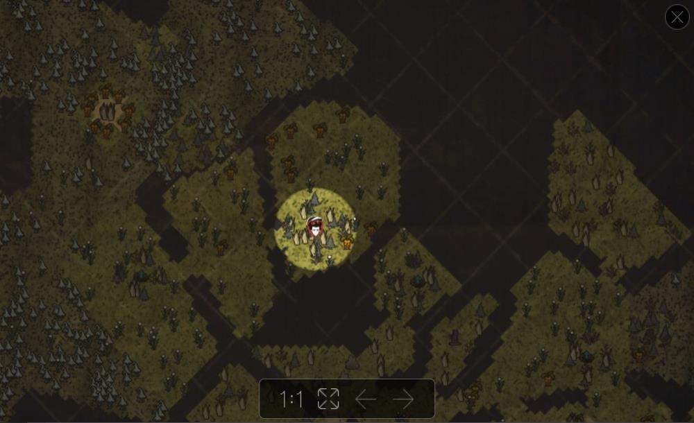 地图全开 — screenshot 1