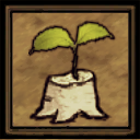 Stumps grow