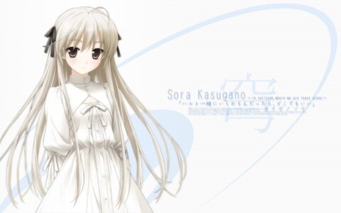 Sora