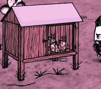 DST Rabbit Cage