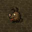 My Pets!