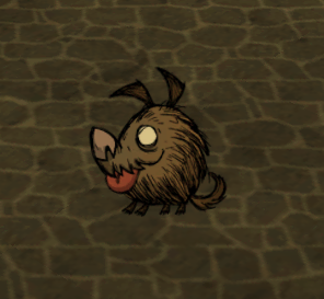 My Pets!