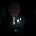 Light & Shadow Scroll