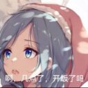 防卡两招_新 (兼容妥爽新)