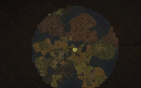 Full Map Reveal
