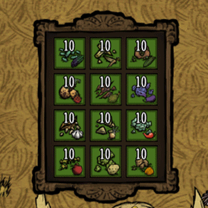 Seed Texture and Name