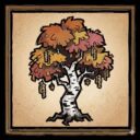 Mod Categories(test)