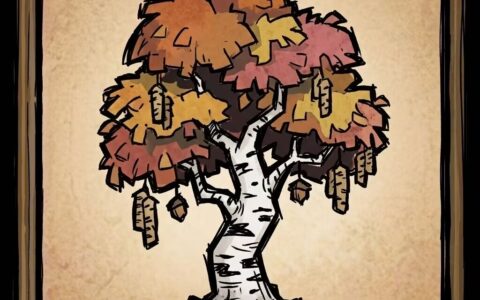 Mod Categories(test)