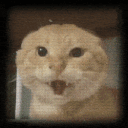 [server]Maodie Cat instead of Spider