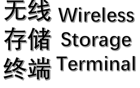 Wireless Storage Terminal