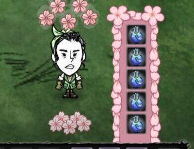 樱花启迪冠（本地）sakura crown (local)