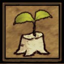 Stumps Grow