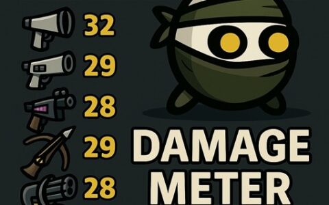 Damage Meter