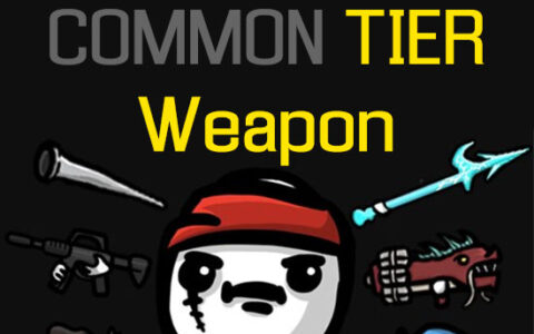 Start with Any Common (Tier1) Start Weapon
