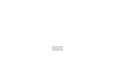 Widescreen Support