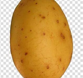Realistic potato
