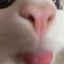 溢出暴击率转暴伤