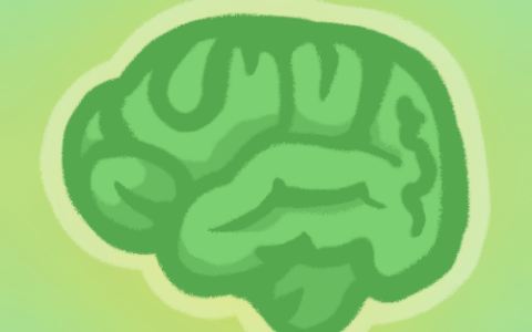 Brains