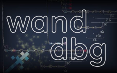 Wand Dbg