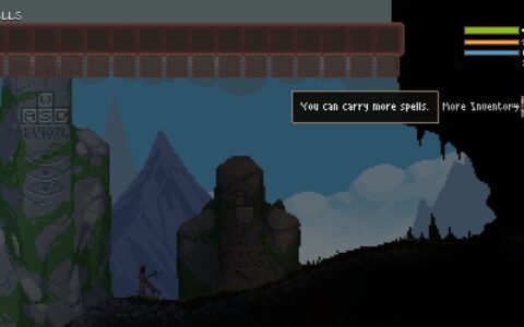 More Inventory Perk