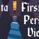 First Person View