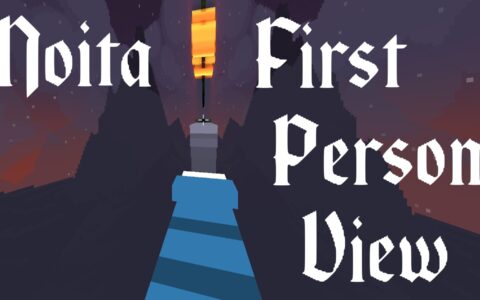 First Person View