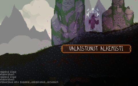 Play As Polymorph