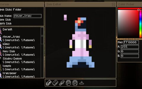 Skin Editor