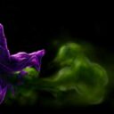 Digestive Alchemy