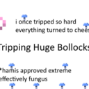 Tripping Huge Bollocks