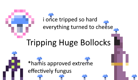Tripping Huge Bollocks