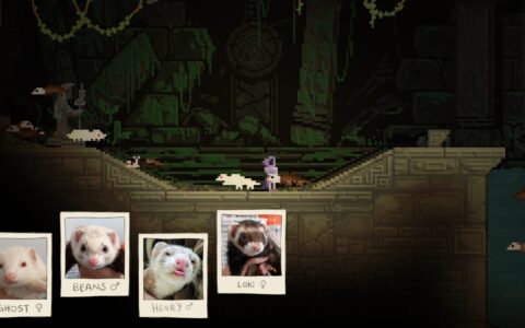FerretMod