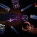 Territorial Worms