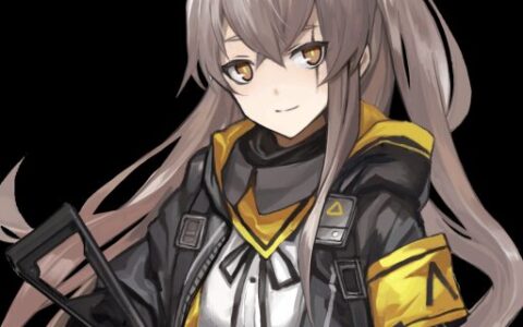 highwayman ump45 skin