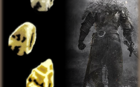 Dark Souls 2 Life Gems