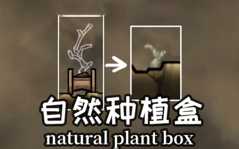 自然种植盒(Natural Plant Box)