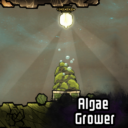Algae Grower
